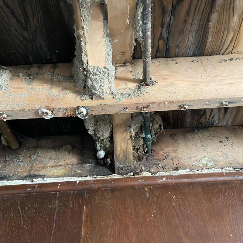 Hot and cold water pipes with wood framing and debris Hot and cold water pipes with wood framing and debris