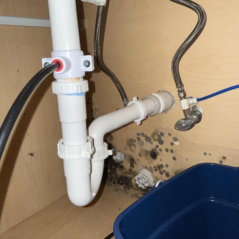Bathroom sink drain and water supply lines with mold
