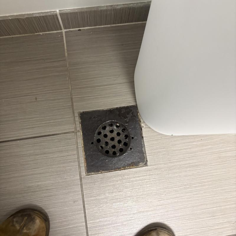 Floor drain and toilet base on tiled bathroom floor Floor drain and toilet base on tiled bathroom floor