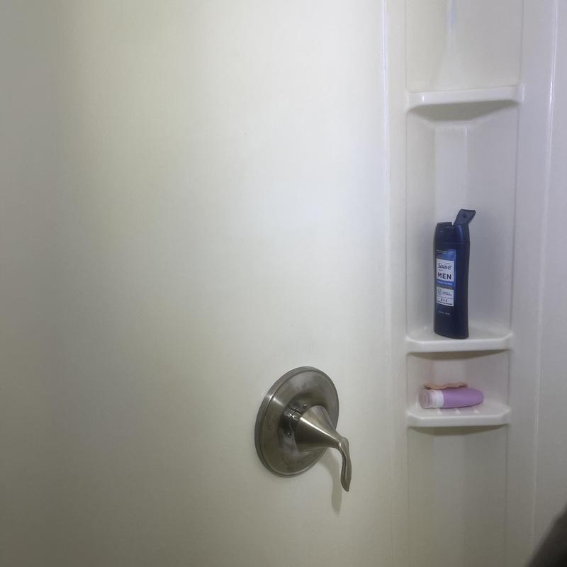 Shower brushed nickel trim with handle and shelves Shower brushed nickel trim with handle and shelves