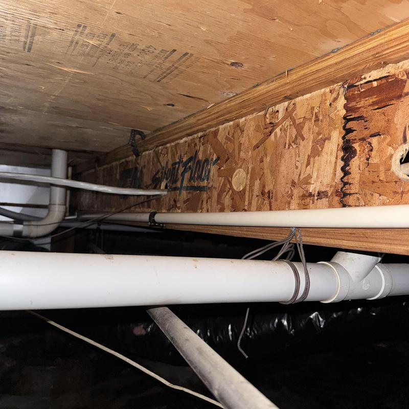 PVC drain pipes and wood floor joist in crawlspace PVC drain pipes and wood floor joist in crawlspace