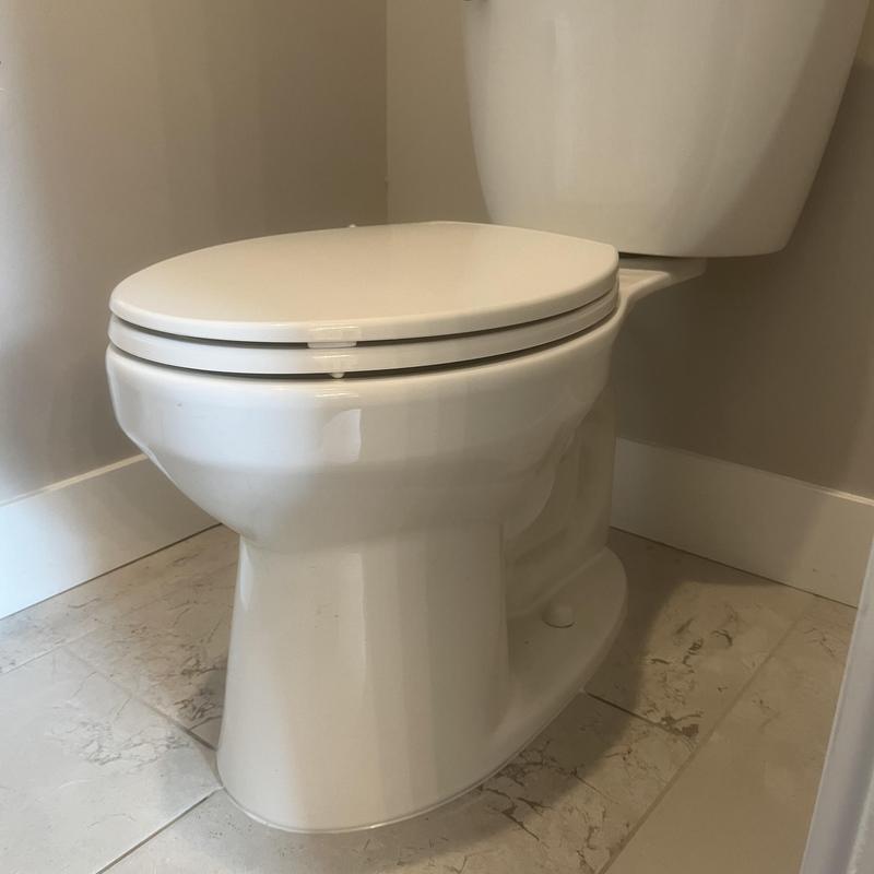 Toilet with reset after brush blockage cleared Toilet with reset after brush blockage cleared