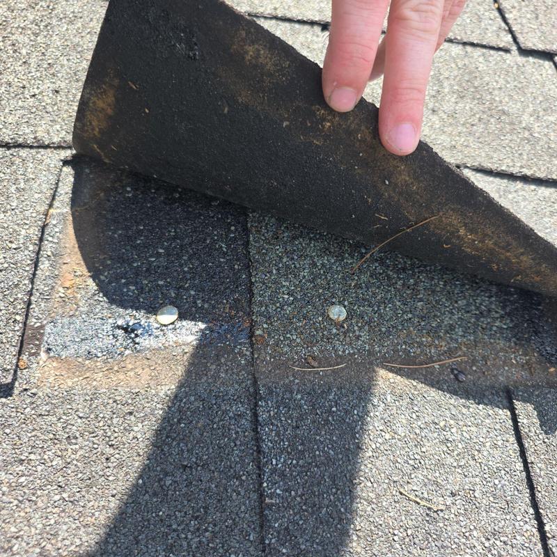Asphalt shingles with loose lift and exposed nails