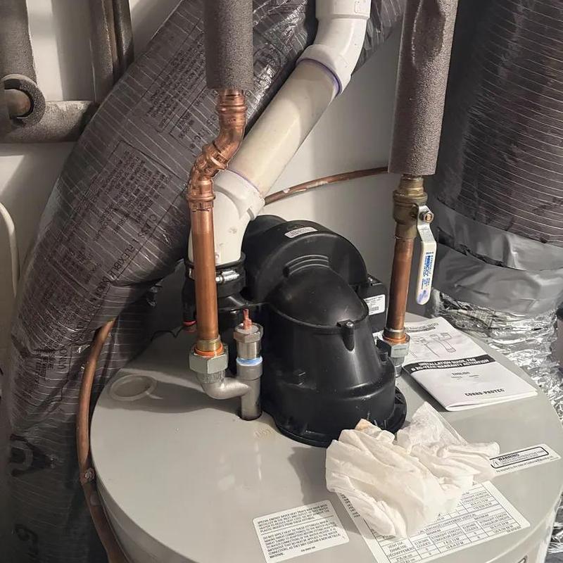 Water heater with flushed system and anode installed