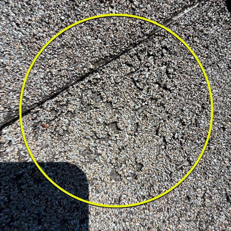 Roof shingles with hail damage granule loss close-up