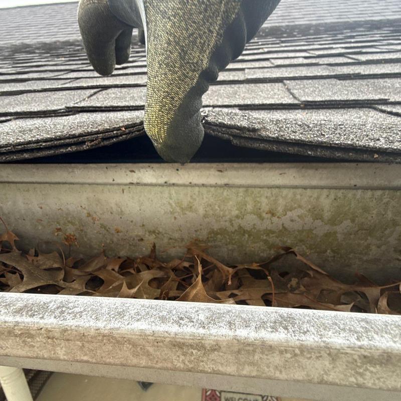 Roof shingles lifted revealing debris-filled gutter below