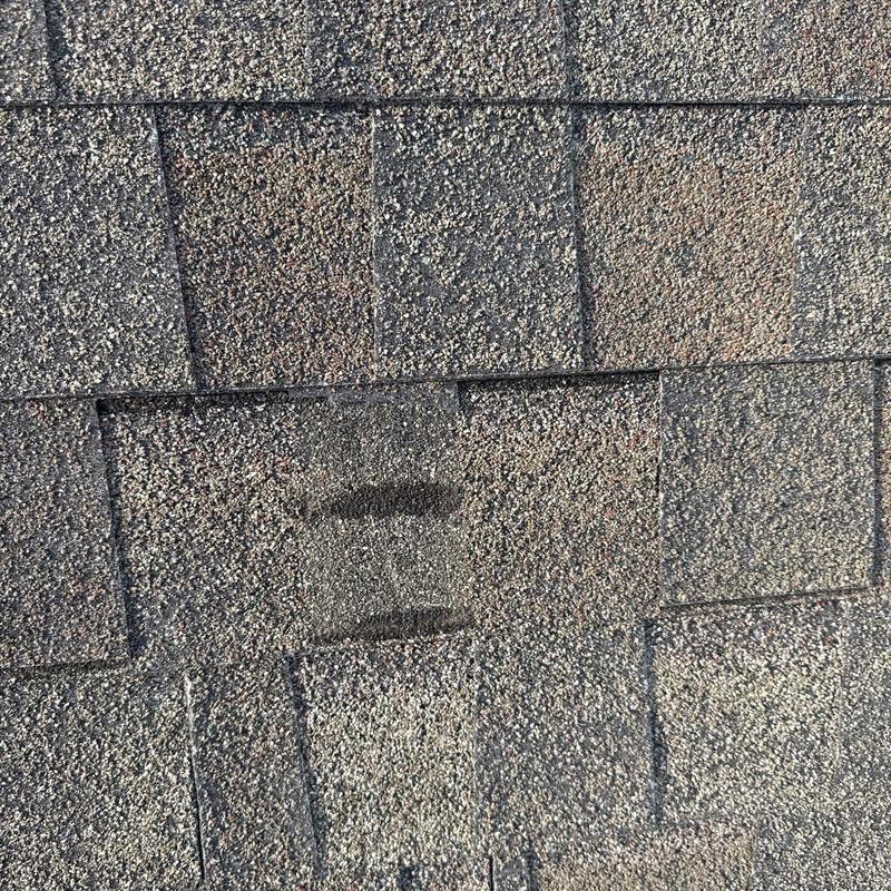 Asphalt roof shingles with hail damage marks
