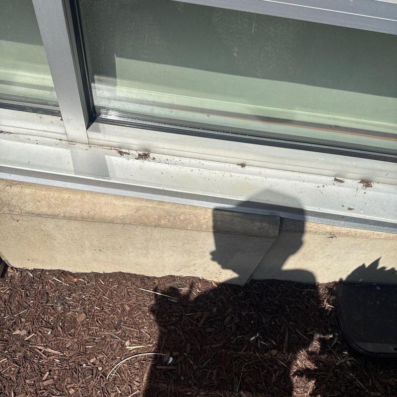 Window sill and frame with surface debris and mulch