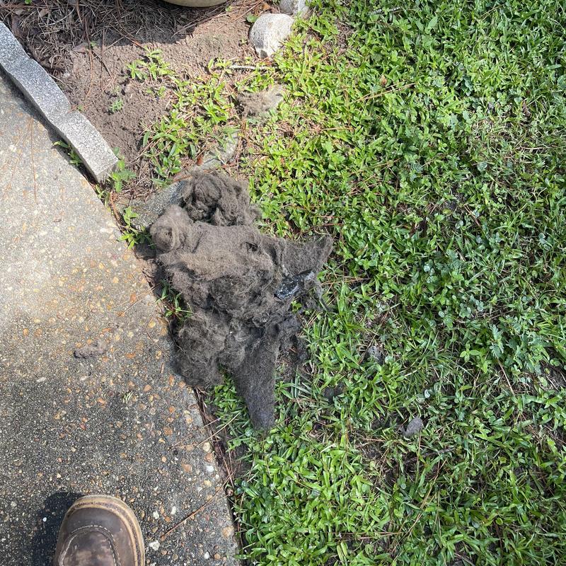 Evaporator coil debris and dirt removed on grass Evaporator coil debris and dirt removed on grass