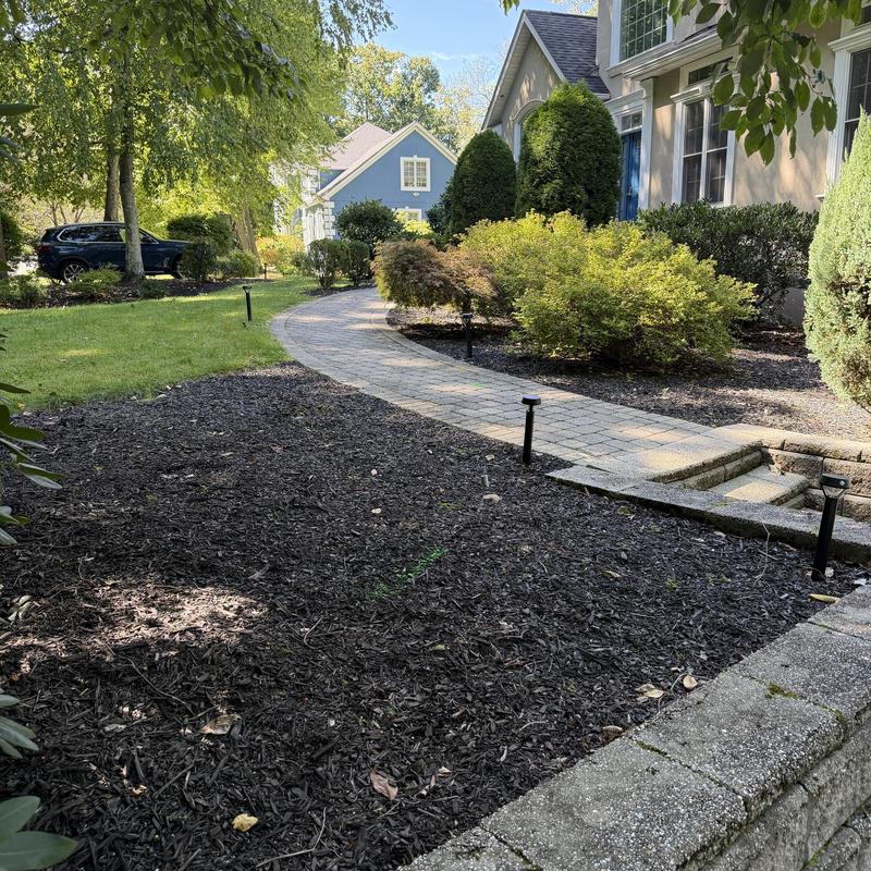 Outdoor walkway with landscape lighting and mulch bed Outdoor walkway with landscape lighting and mulch bed