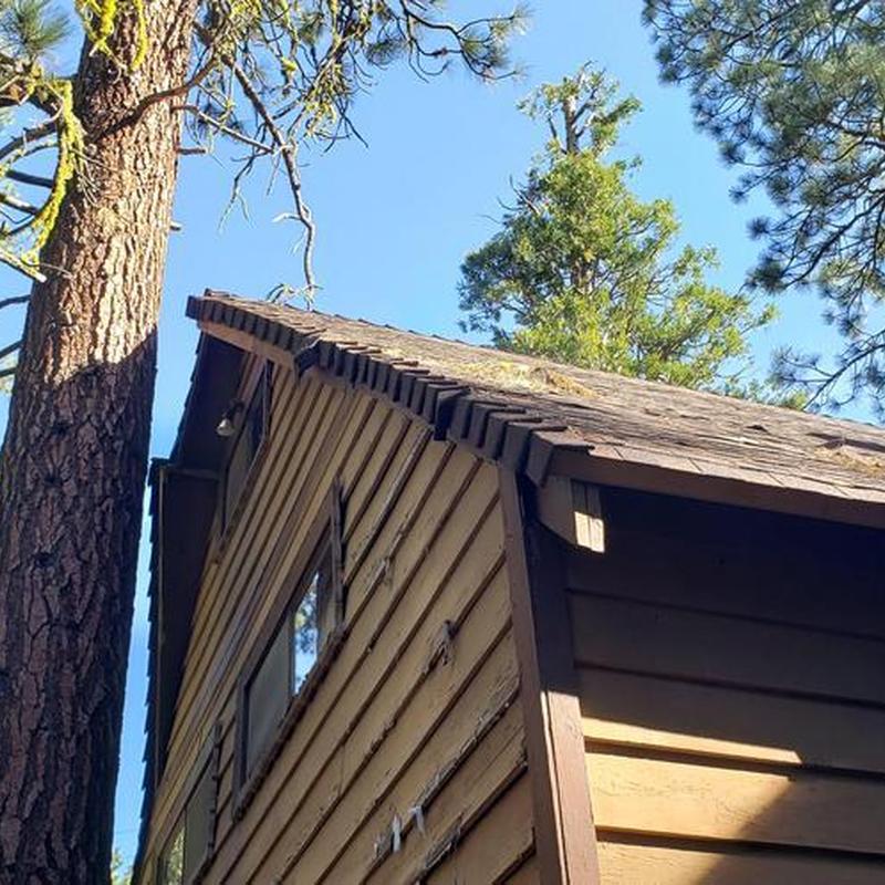 Asphalt shingle roof with dry rot repair installation