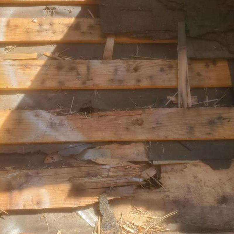 Roof decking with dry rot damage and wood repair