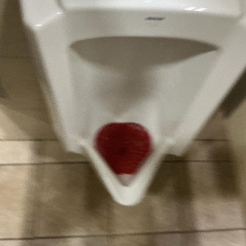 Commercial urinal drain with red urinal screen installed Commercial urinal drain with red urinal screen installed