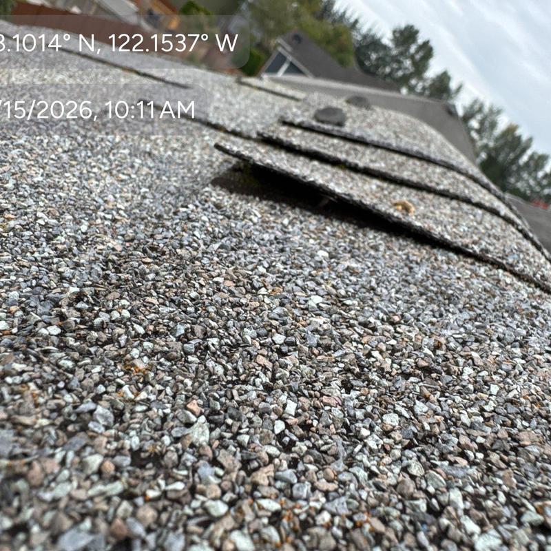 Asphalt shingle roof with lifted damaged shingles