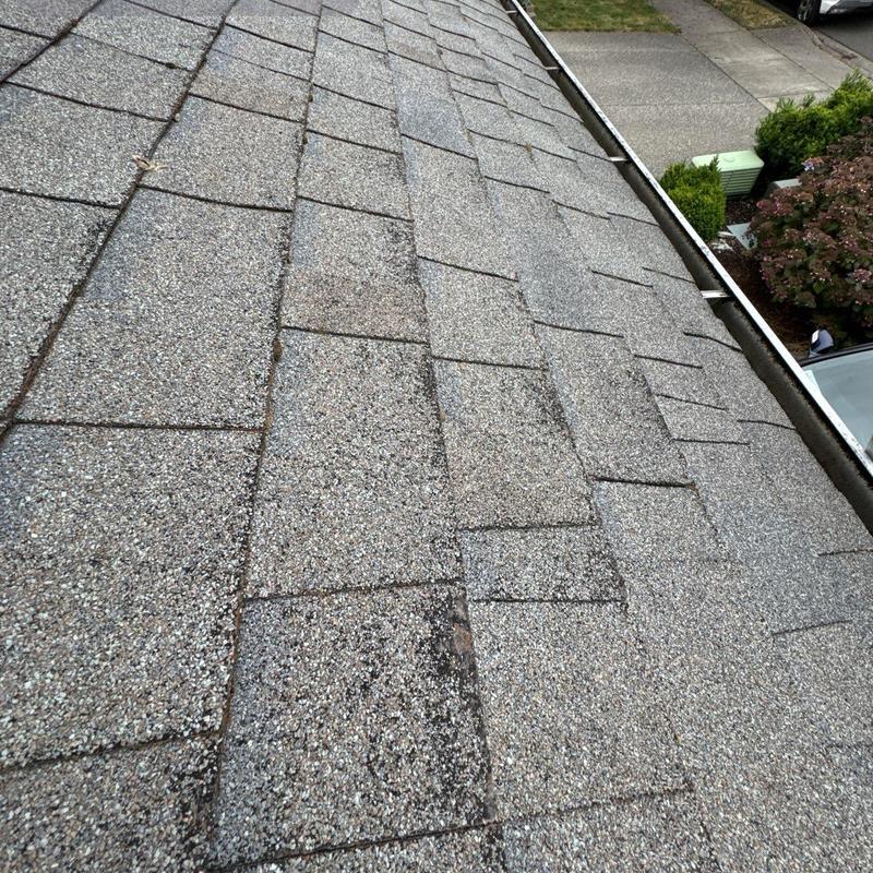 Asphalt shingle roof with granule wear and damage