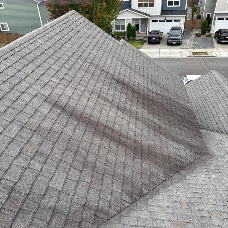 Asphalt shingle roof with dark streaks and wear signs