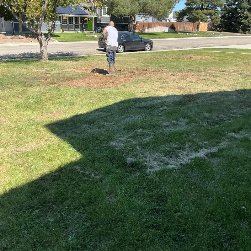 Water line excavation and replacement in yard Water line excavation and replacement in yard