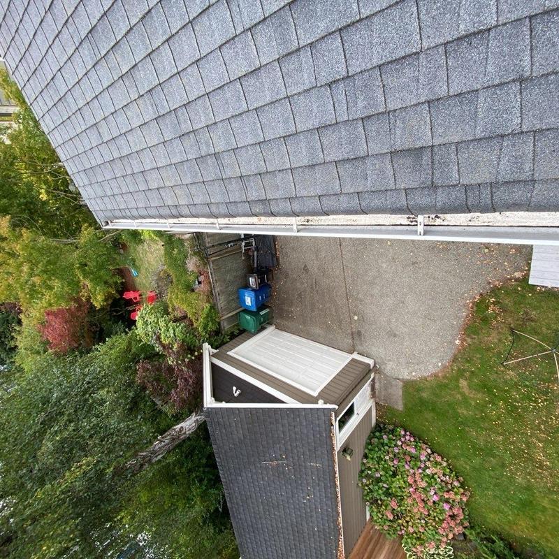 Gutter cleaning with roof shingles and yard view