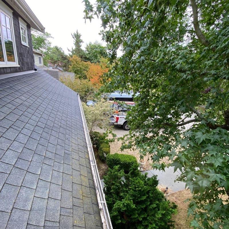 Roof gutters with cleaned debris and clear drainage