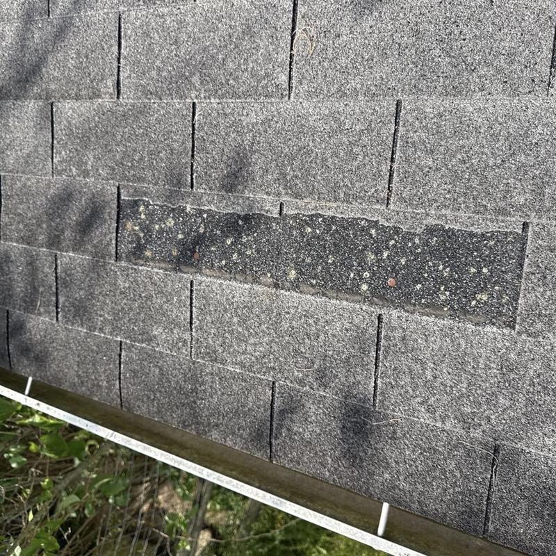 Roof asphalt shingles with hail damage and missing granules