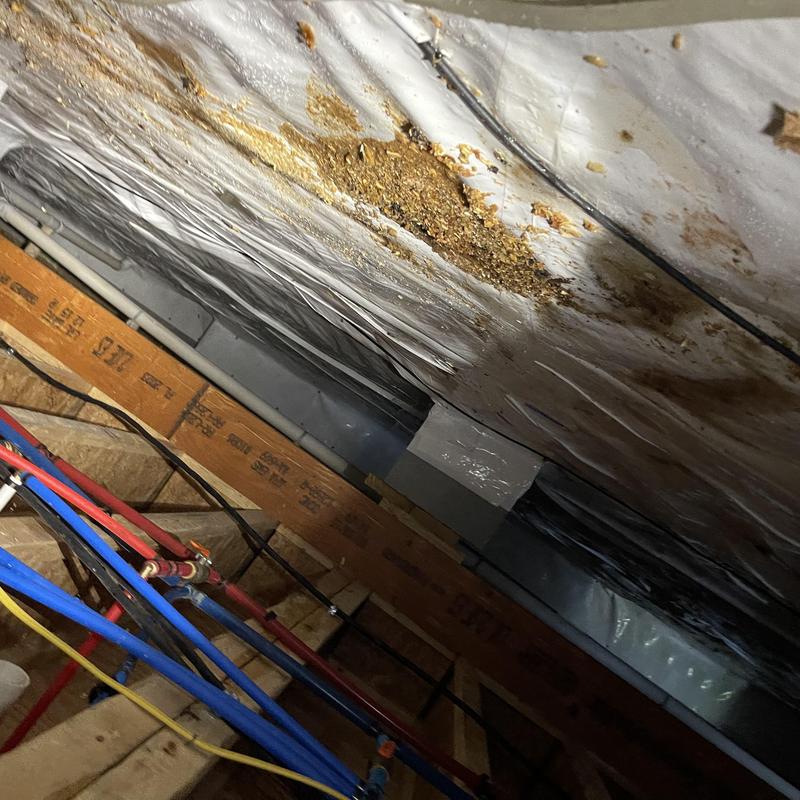 Crawlspace vapor barrier with water damage and piping Crawlspace vapor barrier with water damage and piping
