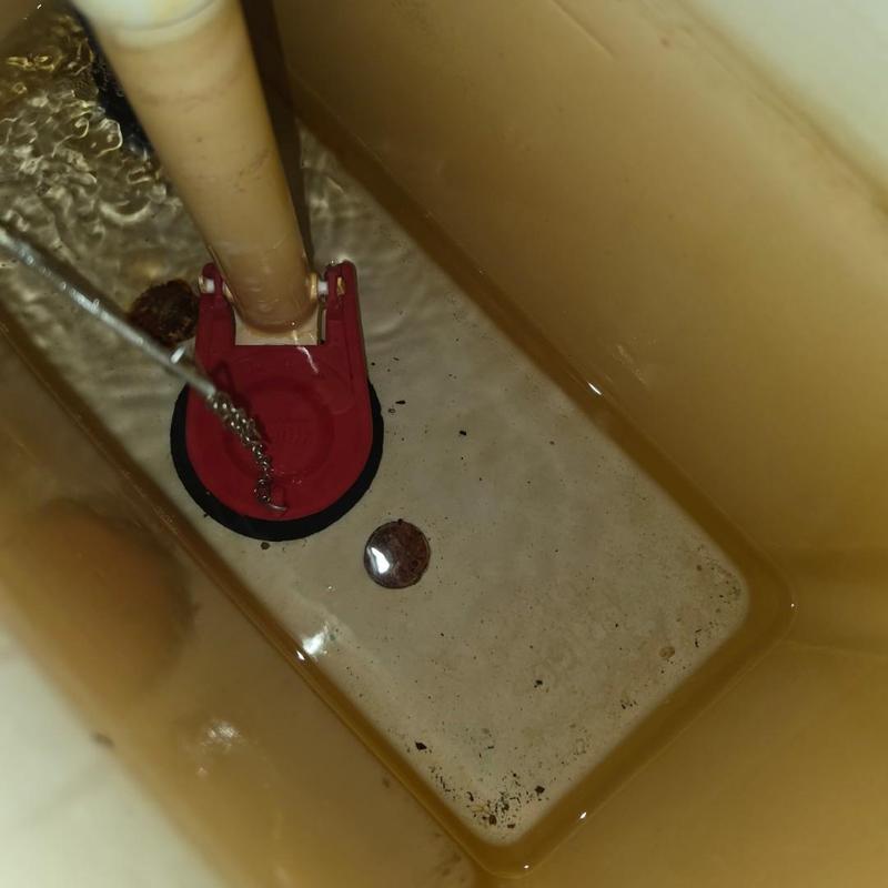 Toilet flapper and basket strainer inside tank Toilet flapper and basket strainer inside tank