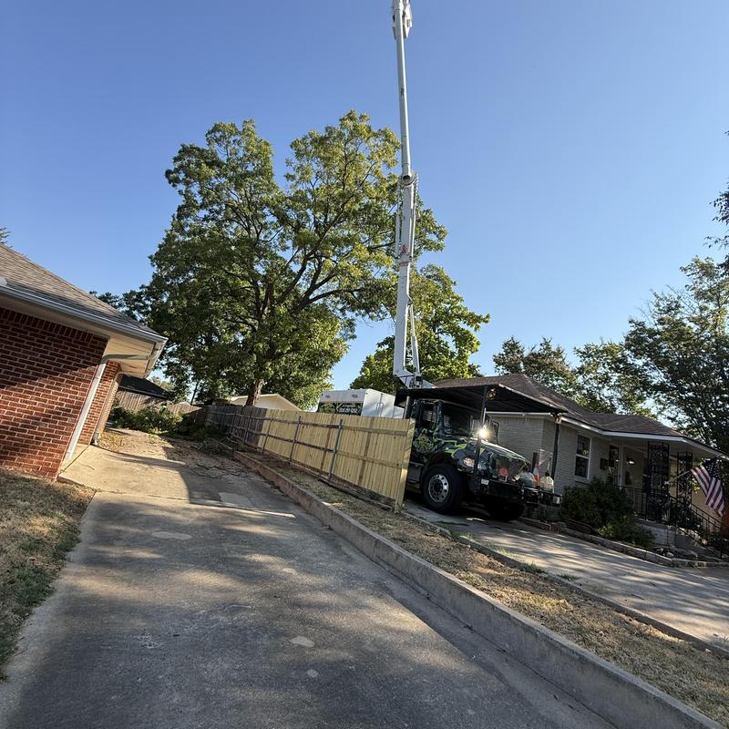 Tree removal near power lines and fence using bucket truck