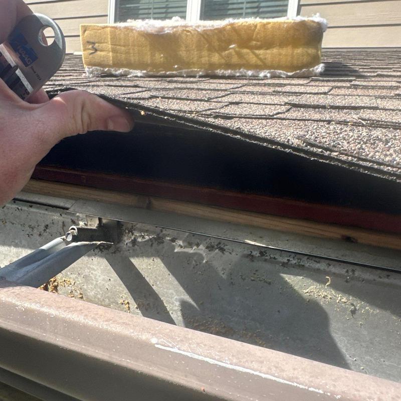 Asphalt shingle roof inspection near gutter line