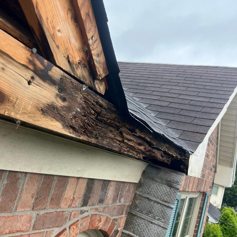 Roof fascia board with water damage on brick home