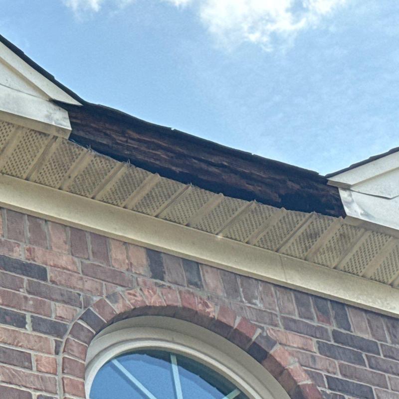 Roof fascia board with severe water damage above brick wall