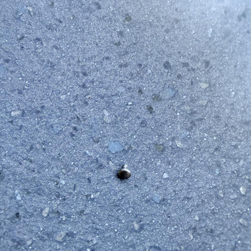 Disposal flywheel screw on concrete surface Disposal flywheel screw on concrete surface