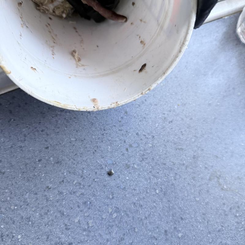 Disposal unit showing removed jam debris on countertop Disposal unit showing removed jam debris on countertop