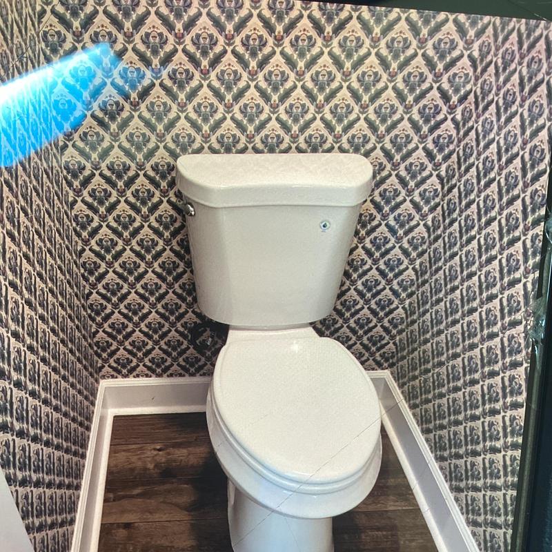 Glacier Bay elongated white toilet installed in corner Glacier Bay elongated white toilet installed in corner