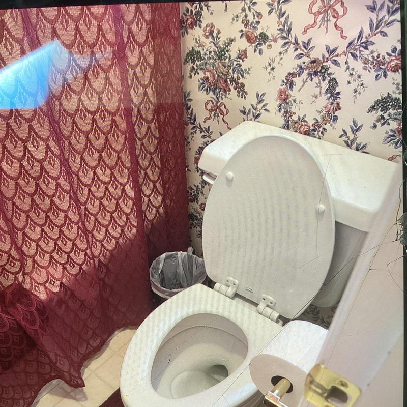 Glacier Bay white elongated toilet with wood seats Glacier Bay white elongated toilet with wood seats