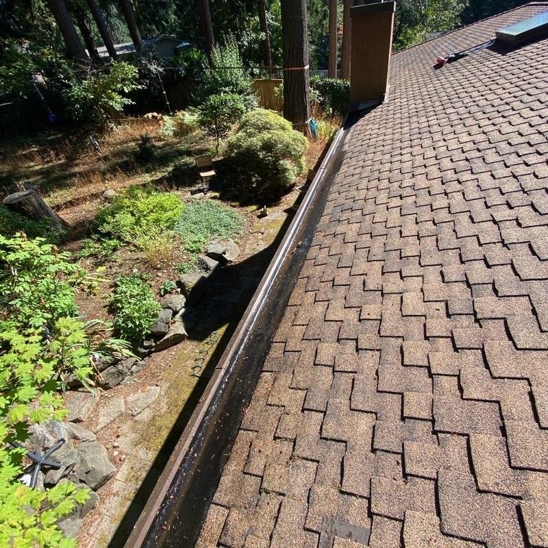 Roof shingles and gutter cleaning with debris removal
