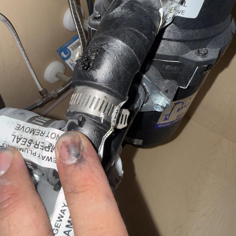 Dishwasher drain gasket and hose connection under sink