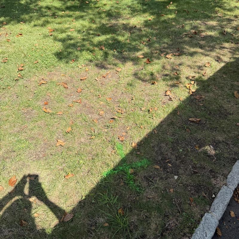 Main line underground sewer location with green marking paint Main line underground sewer location with green marking paint