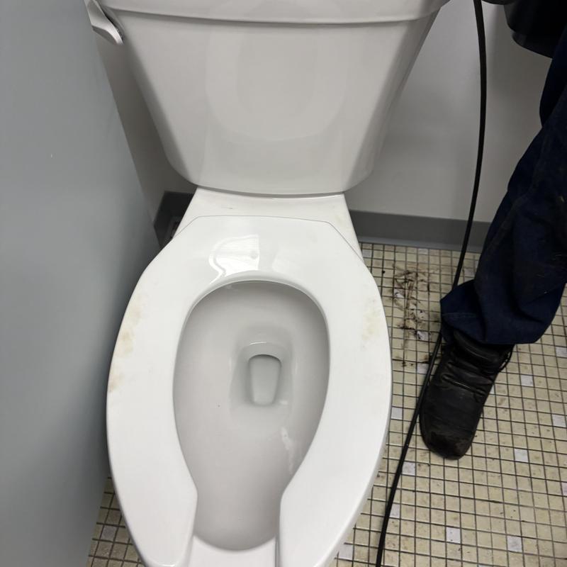 Toilet bowl and drain cleaning with plumbing snake Toilet bowl and drain cleaning with plumbing snake