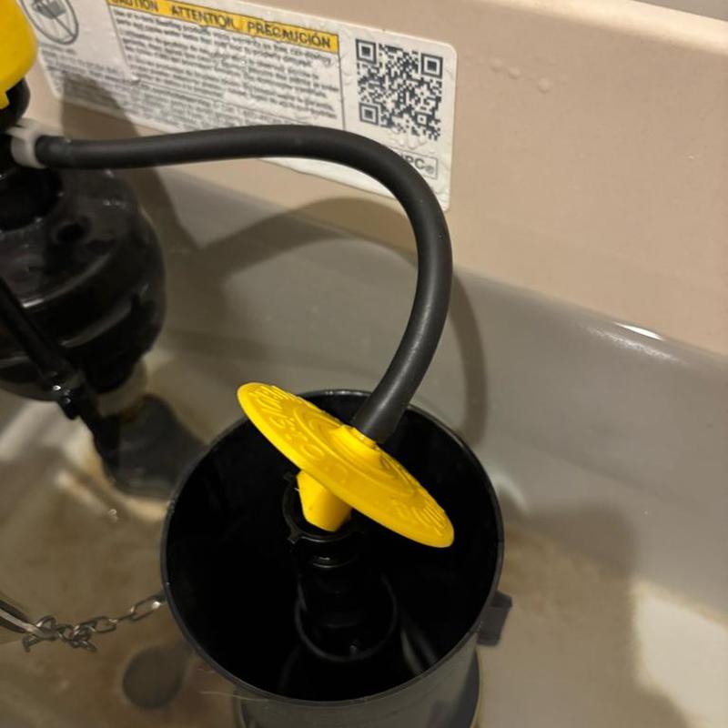 Kohler single flush canister in master toilet tank