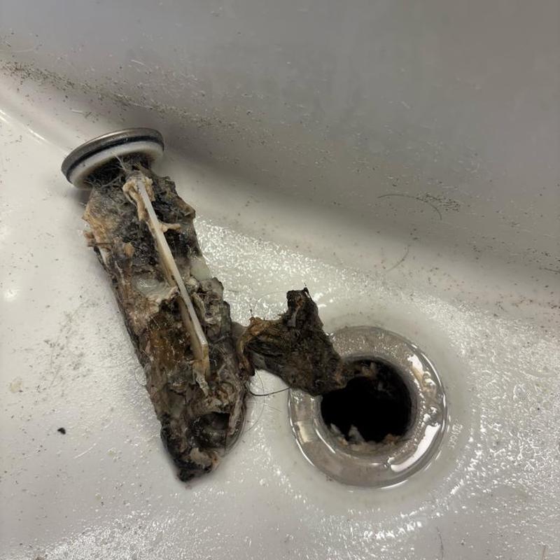 Bathroom sink drain clog with removed debris in basin