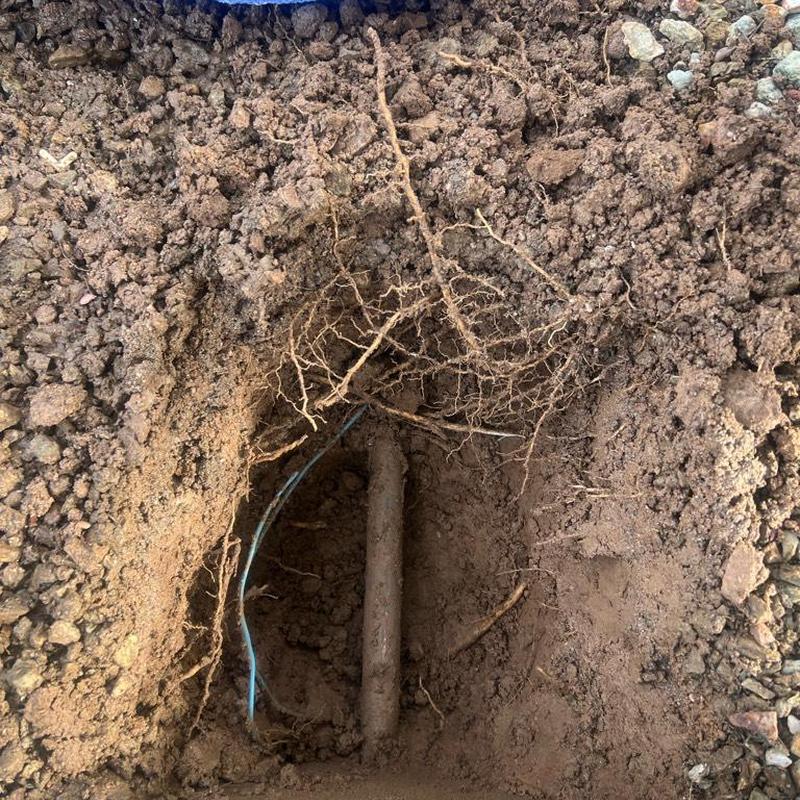 Main water line excavation with exposed roots and pipe