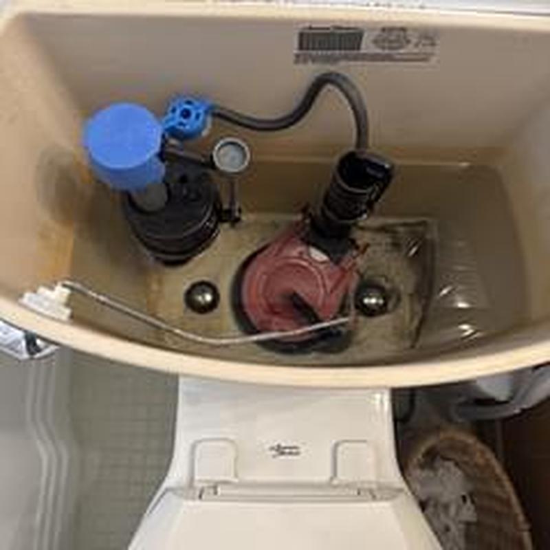 Toilet tank components with minor rebuild work