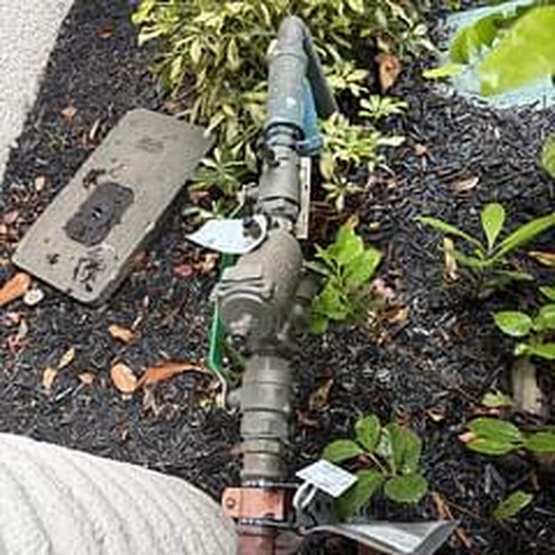 Domestic backflow prevention device installed outdoors