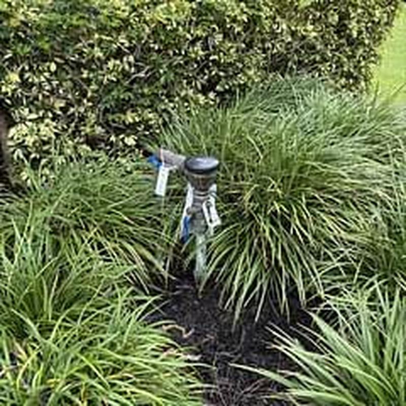 Domestic backflow preventers with test tags in landscape