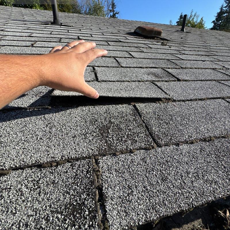 Asphalt roof shingles lifted during roof inspection