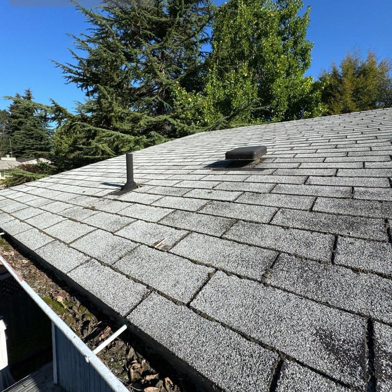 Asphalt shingle roof with vent pipes and gutter debris