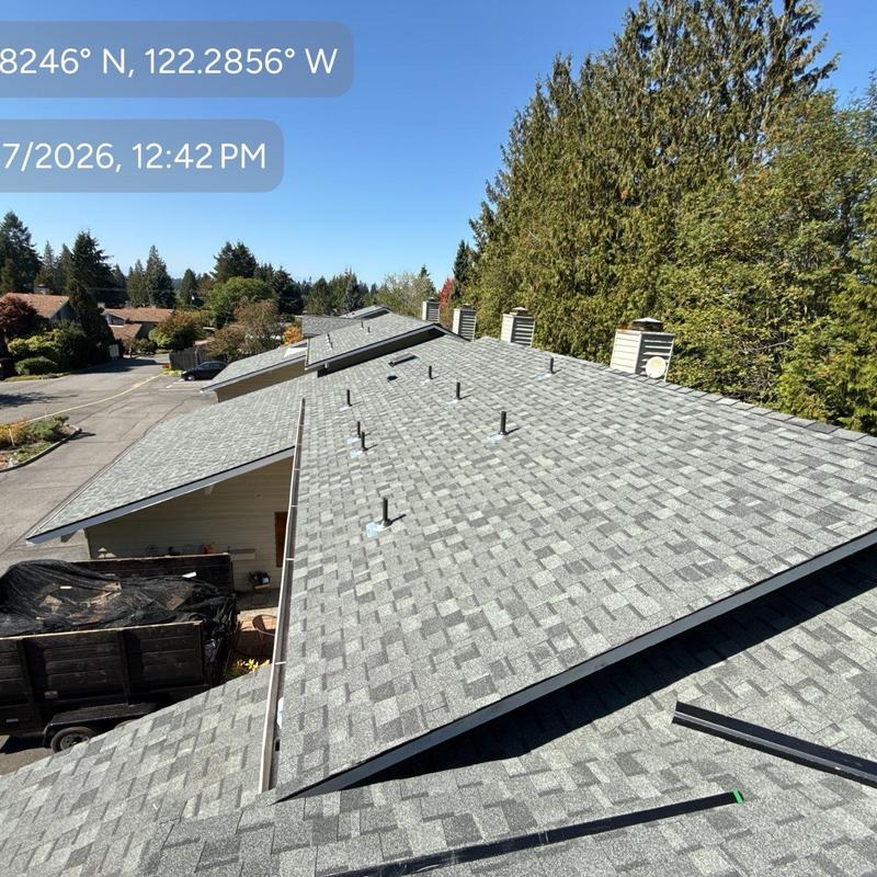 Shingle roof with vent pipes and chimney caps