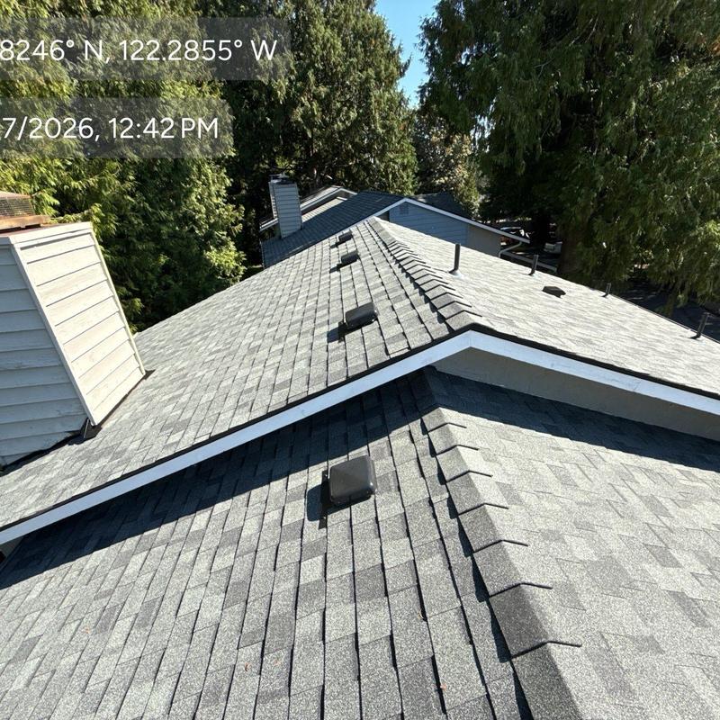 Asphalt shingle roof with ventilation caps and chimney