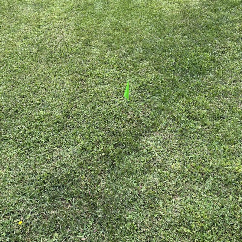 Underground sewer pipe location marked with green flag Underground sewer pipe location marked with green flag
