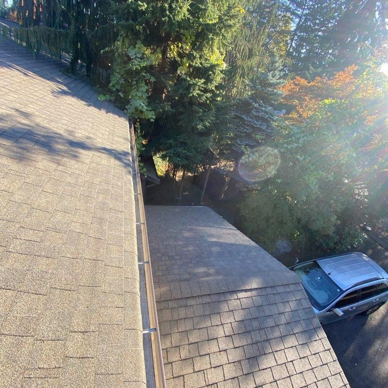 Roof and gutters cleaned with moss treatment in Lynnwood